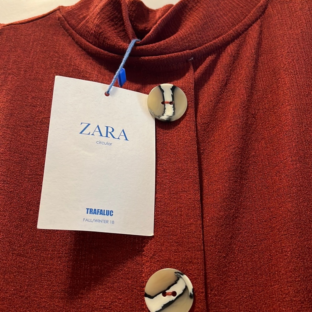 Brand New Mock Neck Rust Colored Zara Dress